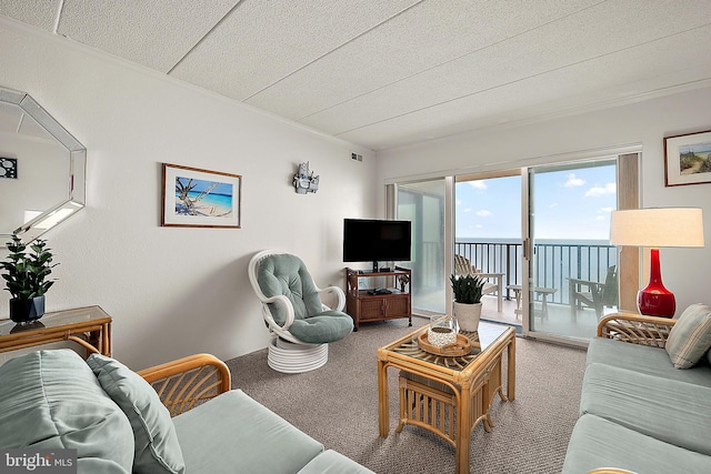 10002 Coastal Hwy Unit 611, Ocean City, MD 21842 - carpeted living room with ornamental molding