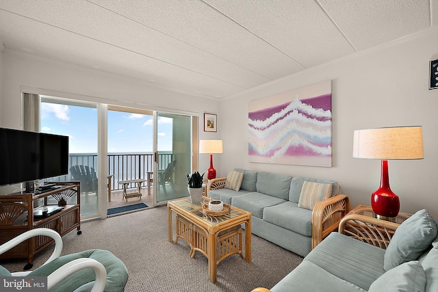 10002 Coastal Hwy Unit 611, Ocean City, MD 21842 - living area featuring carpet, a textured ceiling, and ornamental molding