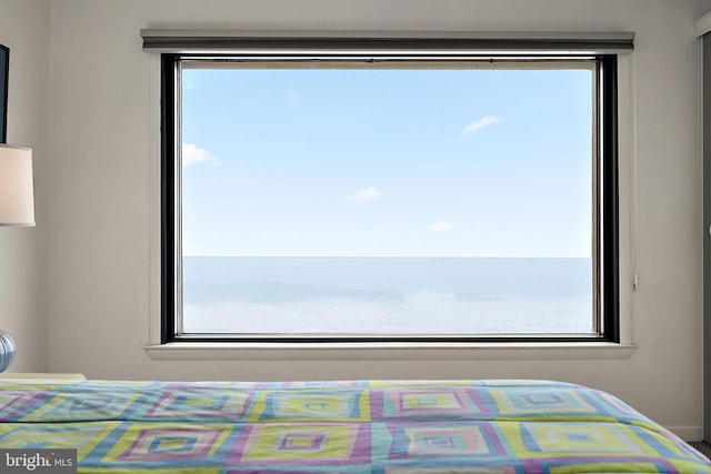 10002 Coastal Hwy Unit 611, Ocean City, MD 21842 - bedroom featuring multiple windows