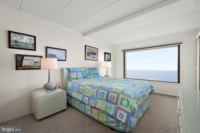 10002 Coastal Hwy Unit 611, Ocean City, MD 21842 - view of carpeted bedroom