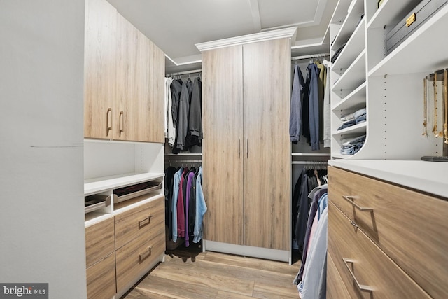 spacious closet featuring light wood-style floors