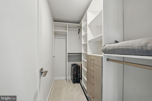 spacious closet with light colored carpet