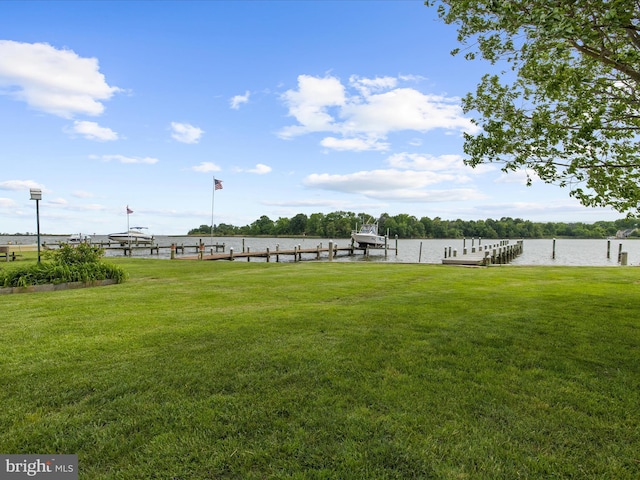 7839 Denton Ave, Baltimore, MD 21219 - view of green lawn with a dock and a water view