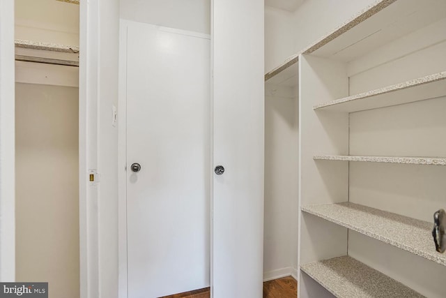 walk in closet featuring wood finished floors