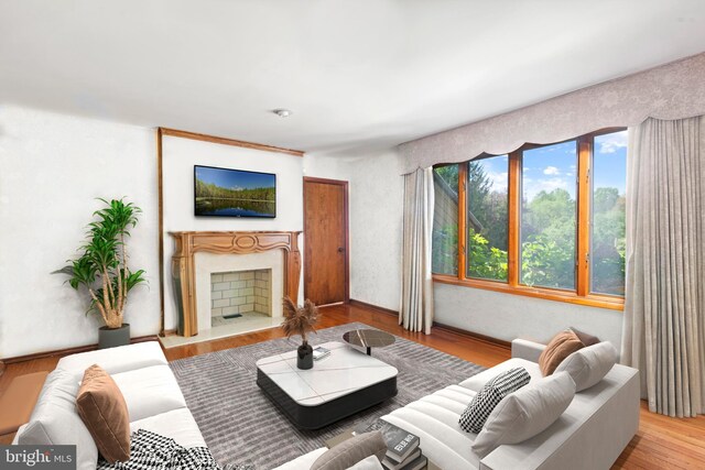 living room with a fireplace and wood finished floors