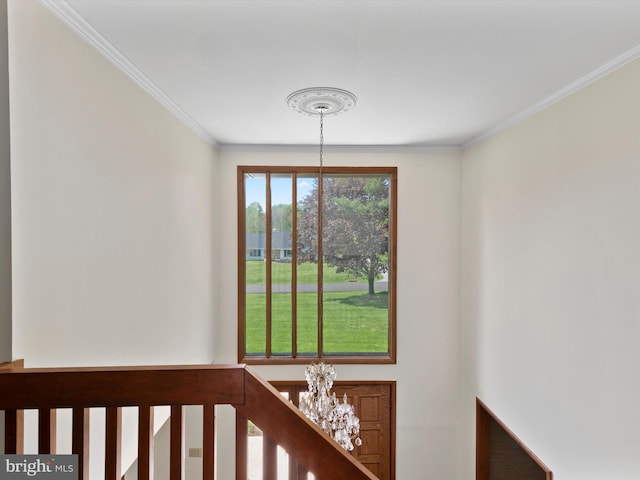 detailed view of a chandelier and crown molding