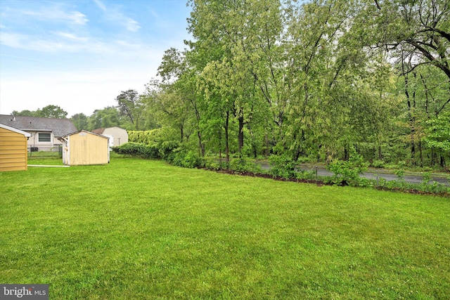 203 Coville Dr, Browns Mills, NJ 08015 - view of yard with a storage unit and an outdoor structure