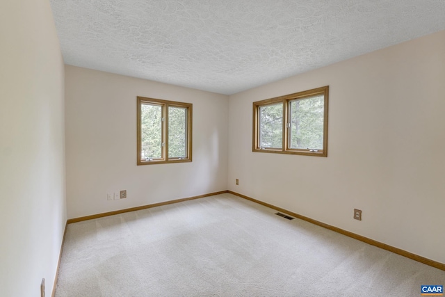 7 Spoon Ter, Palmyra, VA 22963 - empty room featuring plenty of natural light, baseboards, a textured ceiling, and carpet