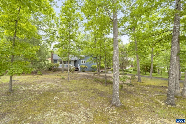 7 Spoon Ter, Palmyra, VA 22963 - view of yard
