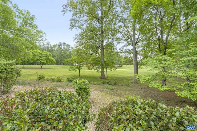 7 Spoon Ter, Palmyra, VA 22963 - view of grassy yard