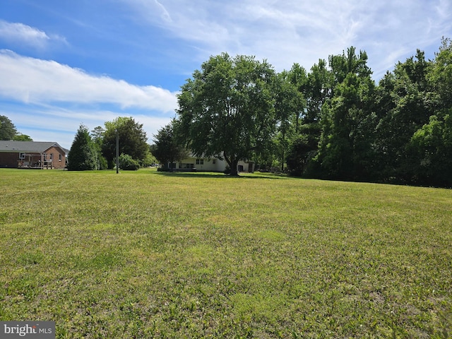 145 Harding Ln, Lottsburg, VA 22511 - view of green lawn