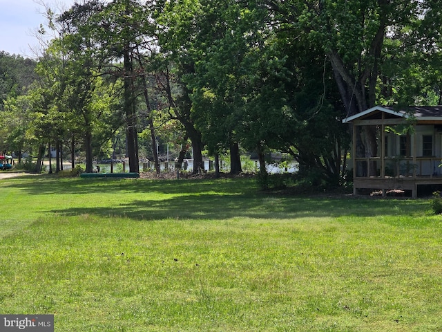 145 Harding Ln, Lottsburg, VA 22511 - view of green lawn