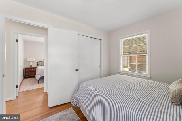 145 Harding Ln, Lottsburg, VA 22511 - bedroom with wood finished floors and a closet