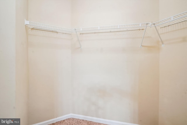 walk in closet featuring carpet floors