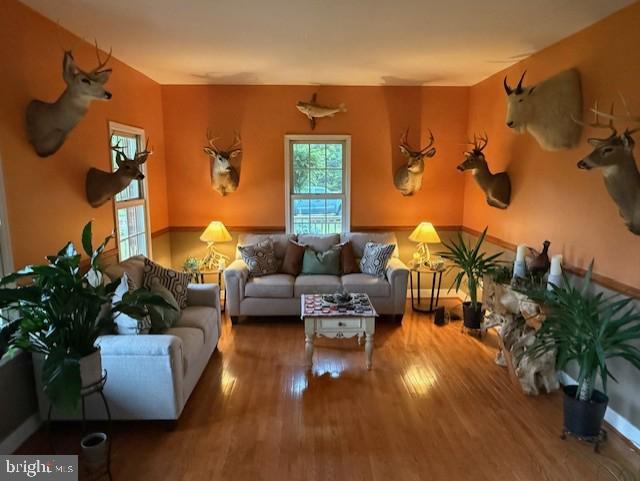 15920 River Bend Ct, Williamsport, MD 21795 - living room featuring healthy amount of natural light and wood finished floors