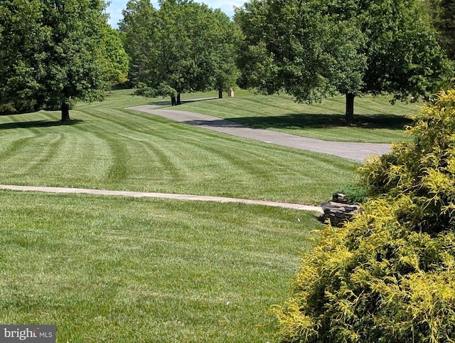 15920 River Bend Ct, Williamsport, MD 21795 - view of property's community featuring a lawn