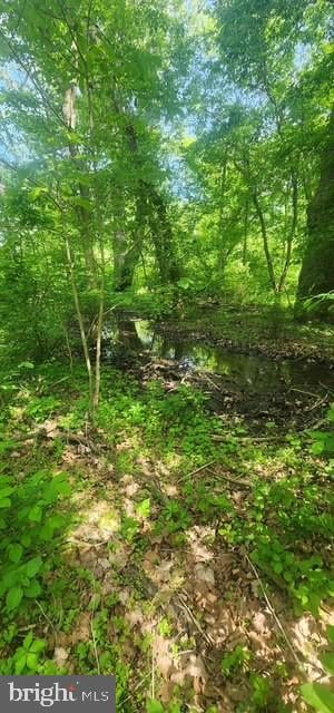 15920 River Bend Ct, Williamsport, MD 21795 - view of local wilderness