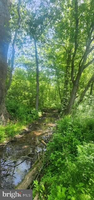 15920 River Bend Ct, Williamsport, MD 21795 - view of local wilderness