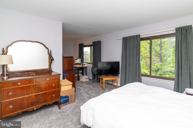 1644 Spring Mill Ct, Yardley, PA 19067 - view of carpeted bedroom