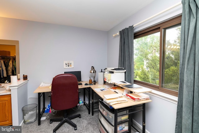 1644 Spring Mill Ct, Yardley, PA 19067 - office with carpet floors and baseboards