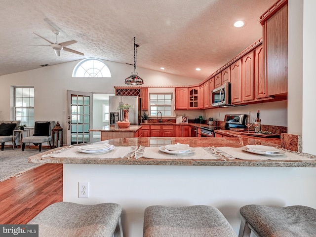 kitchen with appliances with stainless steel finishes, a peninsula, a sink, lofted ceiling, and glass insert cabinets