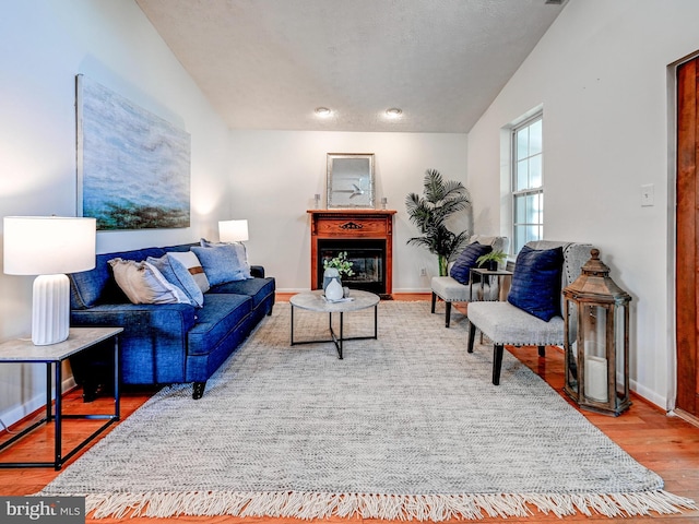 living room with wood finished floors, baseboards, and a glass covered fireplace