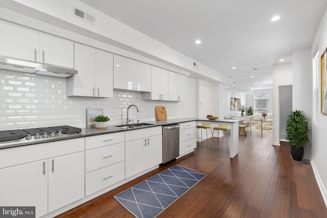 2514 Ashland Ave, Baltimore, MD 21205 - kitchen with a sink, stainless steel appliances, under cabinet range hood, tasteful backsplash, and recessed lighting