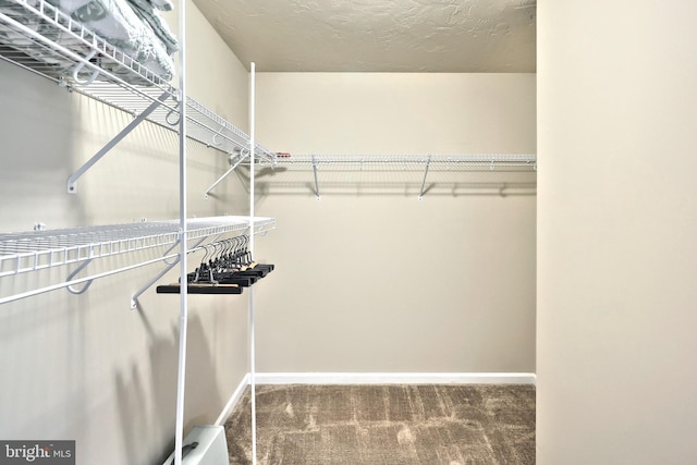 200 Sonny St, Hanover, PA 17331 - walk in closet with carpet flooring