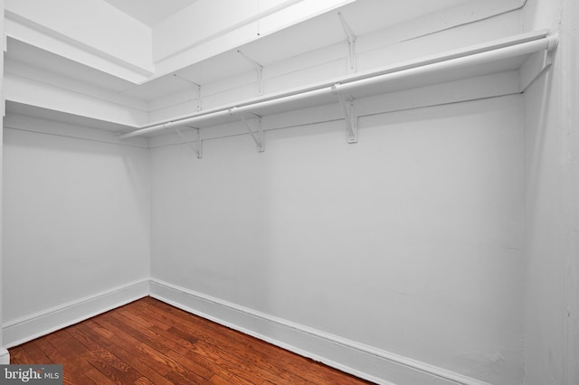 walk in closet featuring dark wood-style floors