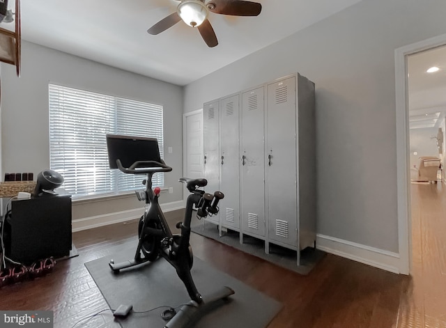 11372 Wollaston, Swan Point, MD 20645 - workout room with ceiling fan, wood finished floors, and baseboards