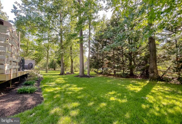 11372 Wollaston, Swan Point, MD 20645 - view of green lawn