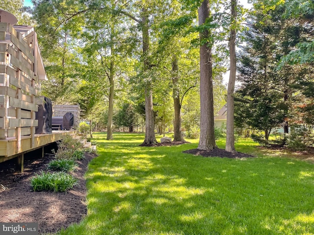11372 Wollaston, Swan Point, MD 20645 - view of grassy yard