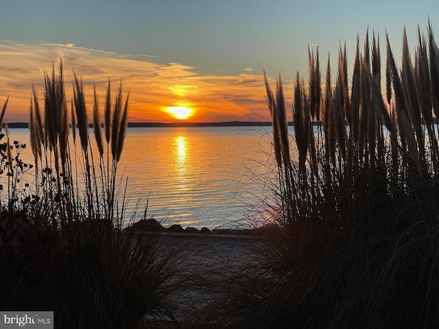 11372 Wollaston, Swan Point, MD 20645 - water view