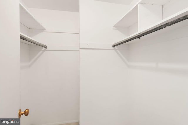 1800 Old Meadow Rd Unit 1218, Mclean, VA 22102 - view of spacious closet
