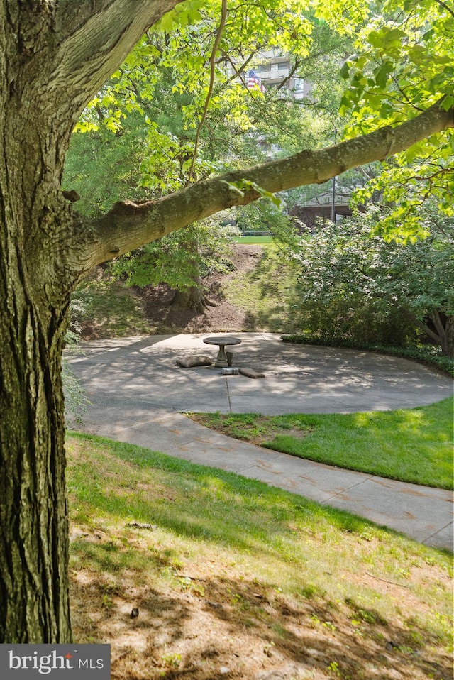 1800 Old Meadow Rd Unit 1218, Mclean, VA 22102 - view of yard
