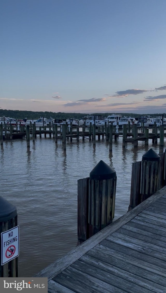 dock area featuring a water view