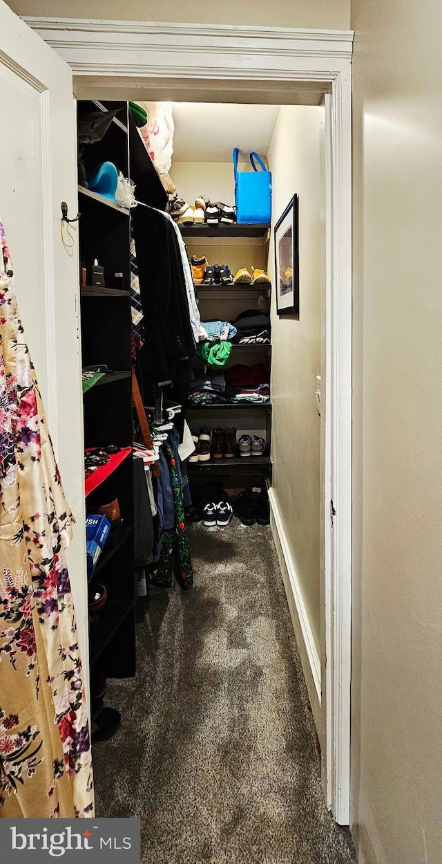 view of closet