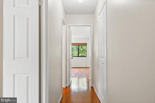 hallway with wood finished floors and a textured ceiling