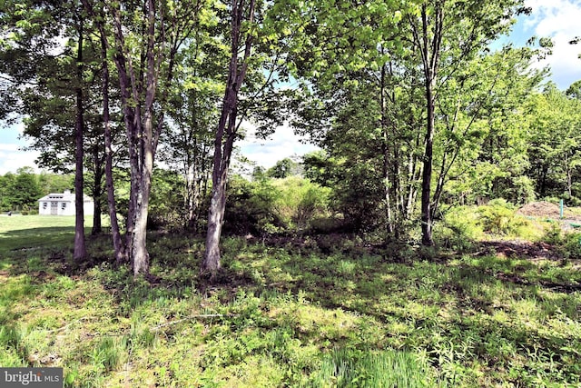 130 Schultz Rd, Sellersville, PA 18960 - view of local wilderness