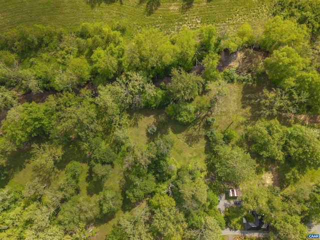 5629 Fitzgerald Rd, Charlottesville, VA 22903 - drone / aerial view