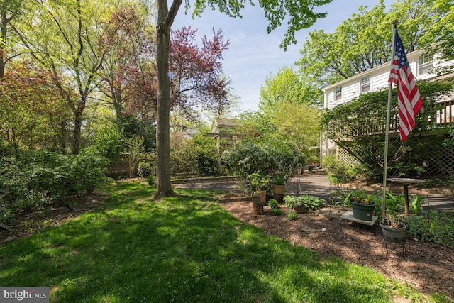 view of yard