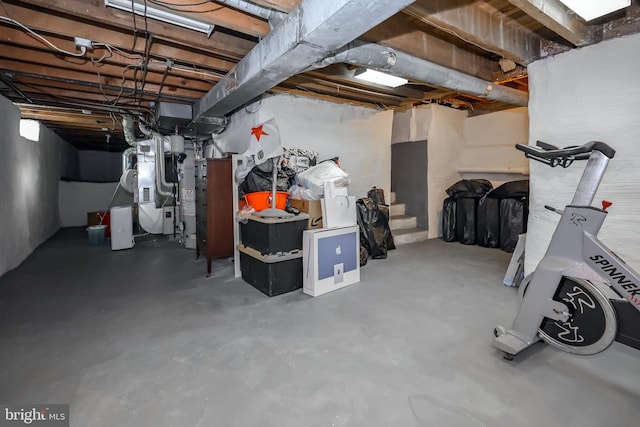 unfinished below grade area with heating unit