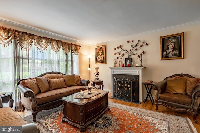 living area featuring wood finished floors, crown molding, and a fireplace