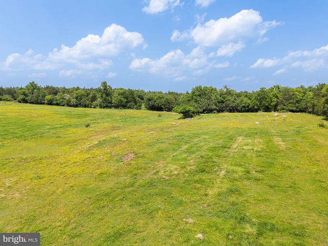190 Chrismore Rd, White Post, VA 22663 - view of yard with a rural view