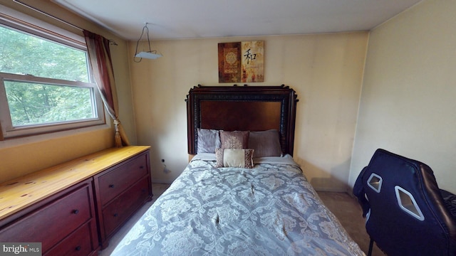 8609 N Dr, Clinton, MD 20735 - bedroom with carpet