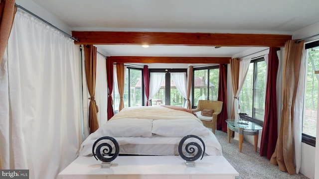 8609 N Dr, Clinton, MD 20735 - bedroom featuring access to outside, beam ceiling, and light carpet