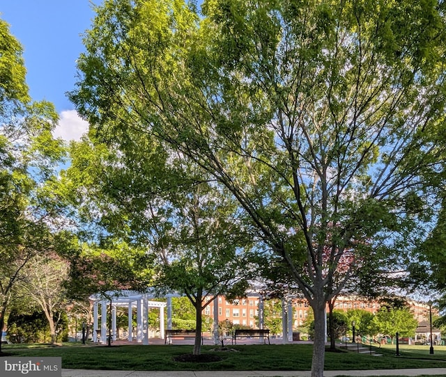 view of community featuring a lawn