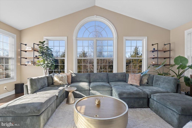 living area with vaulted ceiling, healthy amount of natural light, baseboards, and wood finished floors