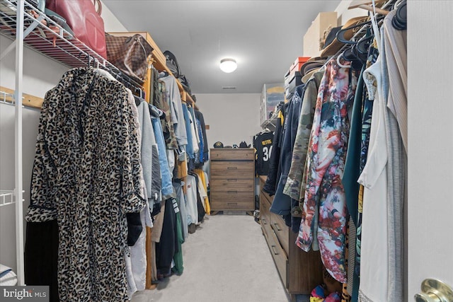 spacious closet with carpet