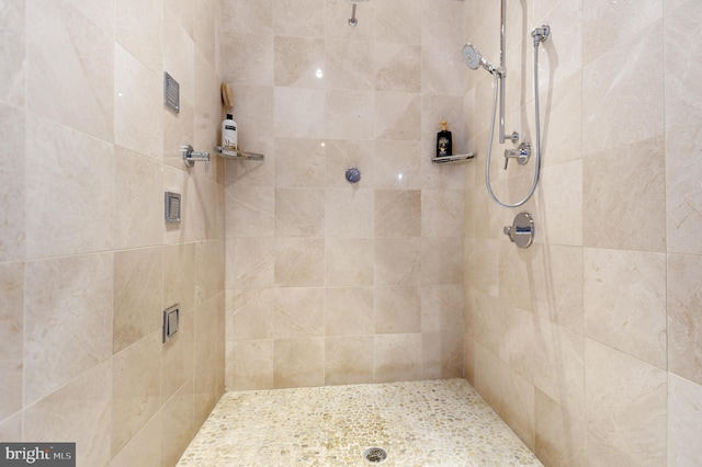 1402 Thurston Rd, Dickerson, MD 20842 - full bath with a tile shower